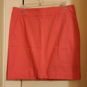 Ann Taylor skirt